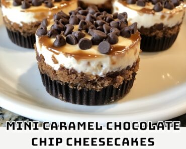 Mini Caramel Chocolate Chip Cheesecakes