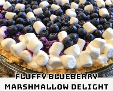 Fluffy Blueberry Marshmallow Delight